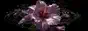 eflower