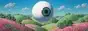 eye